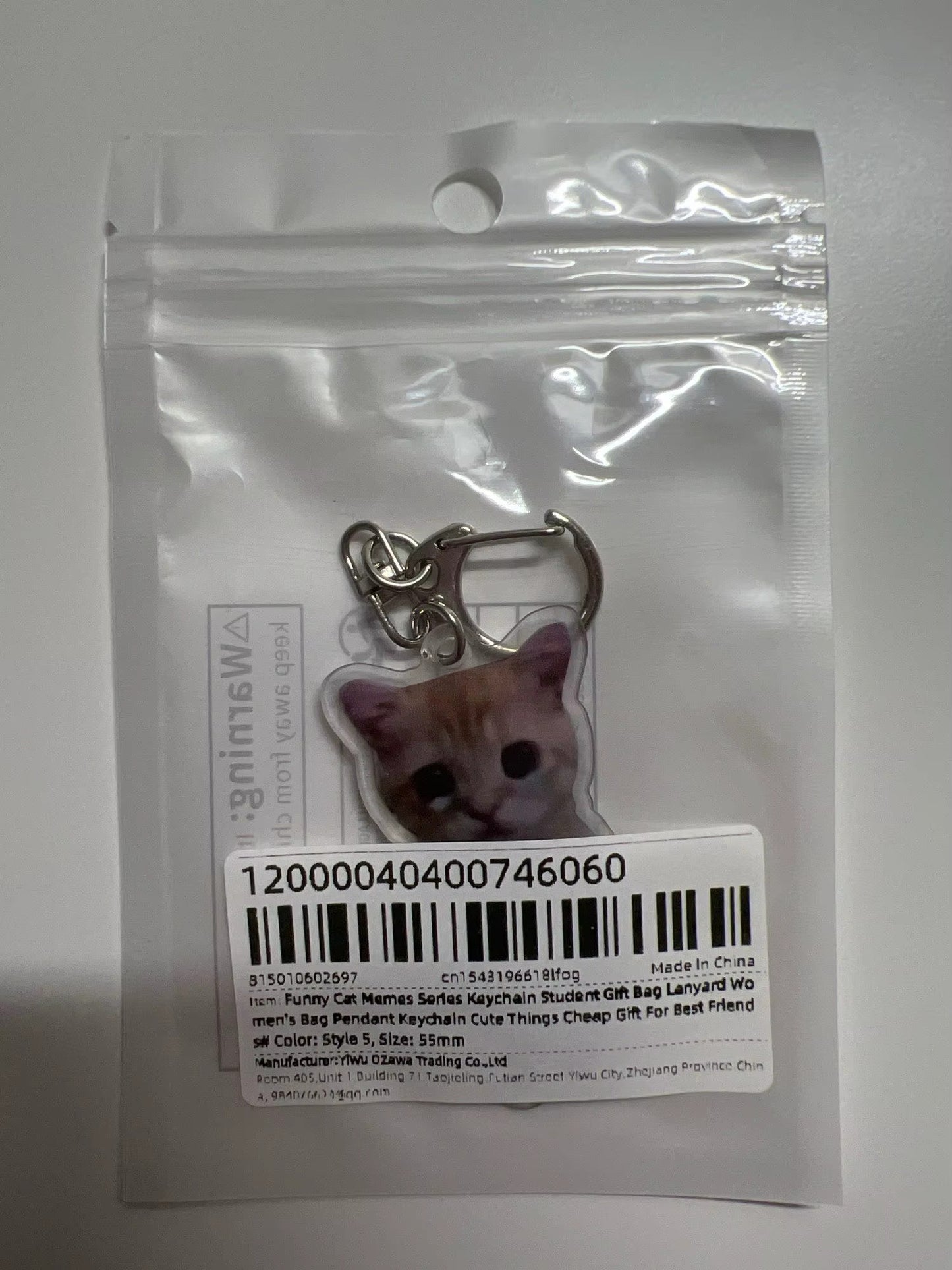 Funny cat meme кeychain