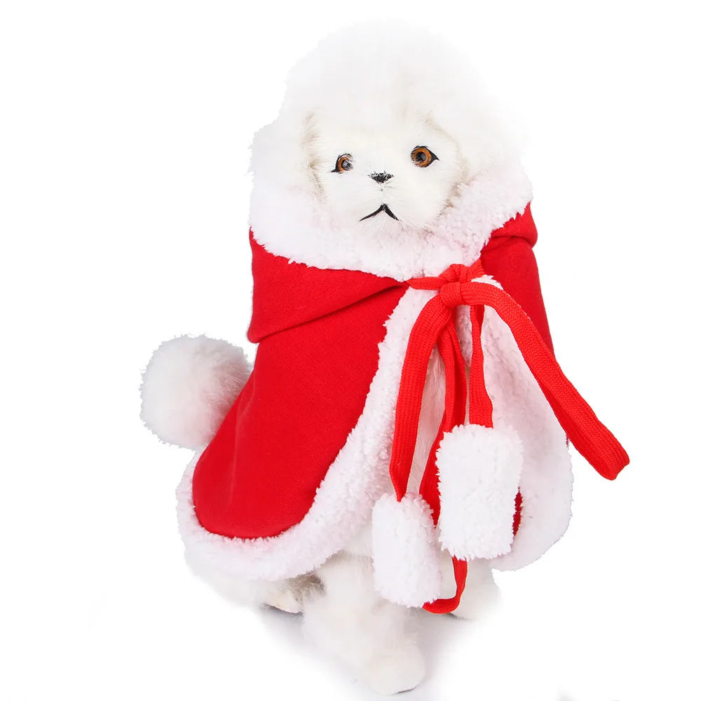 Little pet Santa costume