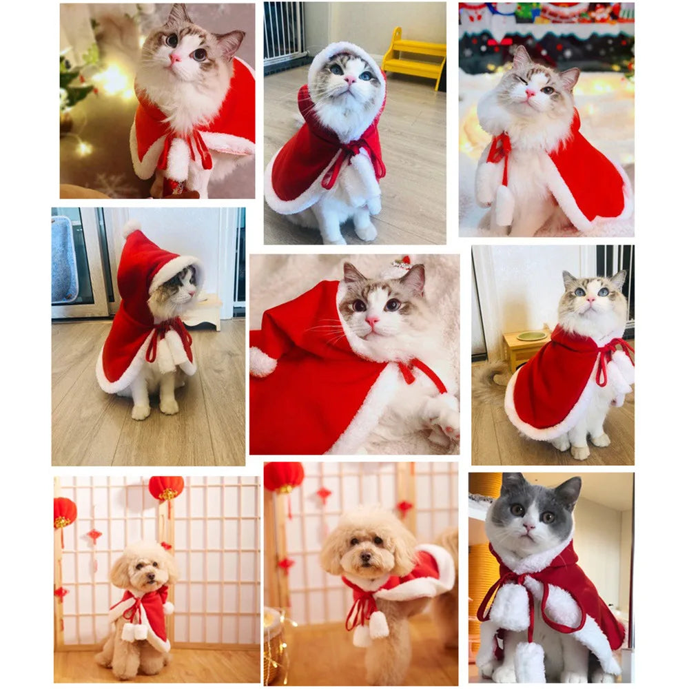 Little pet Santa costume
