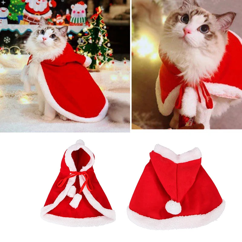 Little pet Santa costume
